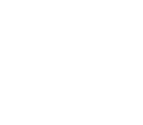 Renault_2021_Text11